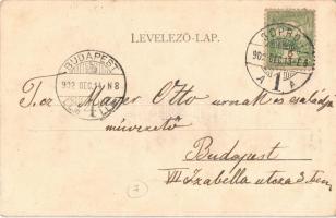 1902 Sopron, Színház, Színházi kávéház. Blum N. kiadása