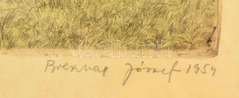 Breznay József (1916-2012): Balaton part. Színezett rézkarc, papír, jelzett, üvegezett fa keretben, ...