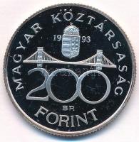 1993. 200Ft Ag "MNB" T:PP apró fo. 
Adamo F13