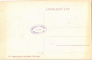 Szigetszentmiklós, Nyaraló, villa, Erdős Ambrus üzlete