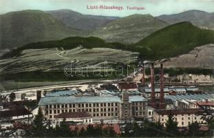 Liptó-Rózsahegy Textile-factory