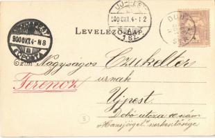 1900 Tata, Tata-Tóváros; Rémi Róbert kerthelyisége, étterem, vendégek és pincérek