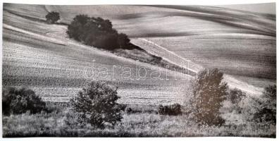 cca 1972 Gebhardt György (1910-1993) budapesti fotóművész hagyatékából 2 db feliratozott, vintage fé...