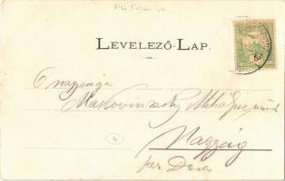 1904 Tövis, Teius; Oroszlán szálloda, Gyulafehérvári főút a gyógypataki fahíddal, indóház, vasútállo...