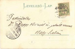 1905 Nagykikinda, Kikinda; Ferenc József tér, Nemzeti szálloda. Montázs lovaskocsival és úriemberekk...