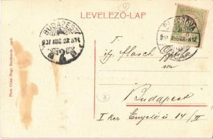 1907 Titel, Duna Gőzhajózási Tásaság ügynöksége, kikötő, Tisza részlet, csónakok, uszályok, gőzhajók...