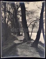 cca 1940 Danassy Károly (1904-1996) budapesti fotóművész hagyatékából, aláírt, vintage fotóművészeti alkotás, 29,5x23,3 cm