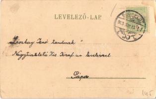 1903 Budapest XIV. Városliget, Millenniumi emlékmű (Hősök tere), Erdélyi cs. és kir. udvari fényképé...