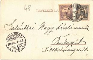 1902 Badacsony, Badacsonytomaj; Kápolna, szőlőskertek. Kampmann H. kiadása