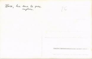 Zirc, Angolkert, park, tó, hattyúk. photo