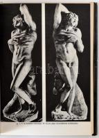 Karel Schulz: Kőbe zárt fájdalom. Michelangelo Buonarroti életregénye. Bp.,1973, Corvina. Fekete-feh...