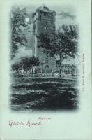 Arad Water-tower Litho