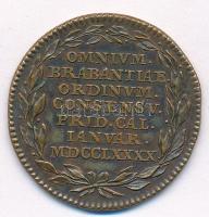1790. Brabant függetlenségének elnyerésére kiadott emlékérem Br emlékérem (33,5mm) T:2 1790. Commemorating the Brabant revolution Br commemorative medallion (33,5mm) C:XF