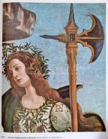 Botticelli életműve. Az előszót írta Carlo Bo. A kritikai és a filológiai jegyzeteket összeállította...