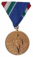 1954. Évi Dunai Árvízvédelemért aranyozott Br kitüntetés szalaggal T:2