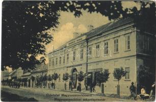 1917 Nagyszentmiklós, Sannicolau Mare; Takarékpénztár, Fried Ede és Társa üzlete. W. L. 1276. Kiadja Wiener Náthán / savings bank, shop (EK)