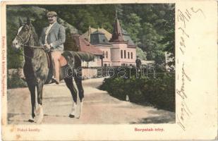 1907 Borpatak, Borpatak-telep, Valea Borcutului; Pokol-kastély. Kovács Gyula kiadása / castle (EK)