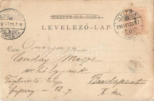 1899 Nyitra-Szent-János, Felsőelefánt, Horné Lefantovce; Báró Edelsheim-Gyulay Lipót kastélya / cast...