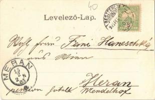 1905 Beszterce, Bistritz, Bistrita; Villa Franca am Schieferberg. Verlag Stolzenberg. Nach Photograp...