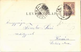 1900 Lugos, Lugoj; látkép, Wolf Samu és Fia, Grünberger Ede üzlete. Auspitz Adolf kiadása / general ...