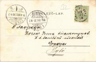 1904 Vajdahunyad, Hunedoara; vár, vasgyár / Cetatea (Castelul) Huniadestilor / castle, iron works, f...