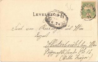 1901 Vöröstoronyi-szoros, Roterturmpass, Pasul Turnu Rosu; Altbrücke / régi fahíd, fatelep, fűrészte...