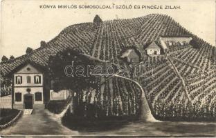 1911 Zilah, Zalau; Kónya Miklós somosoldali szőlő és pincéje / vineyard (gyűrődés / crease)