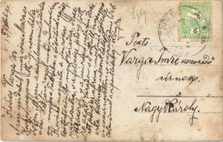 1911 Zilah, Zalau; Kónya Miklós somosoldali szőlő és pincéje / vineyard (gyűrődés / crease)