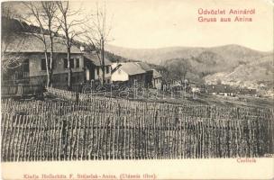 Anina, Stájerlakanina, Steierdorf; Csellnik telep. Kiadja Hollschütz F. / Csellnik Kolonie / mining colony, houses (EK)