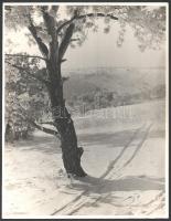 Balogh Rudolf (1879-1944): Fiúcska és havas tájj, 2 db jelzetlen fotóművészeti alkotás, 30×24 cm