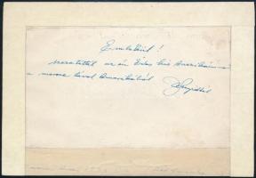 Magyar zenekar Buenos Airesben. Feliratozott kép 17x12 cm