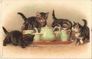 Cats with cups. A. & M. B. No. 53. litho