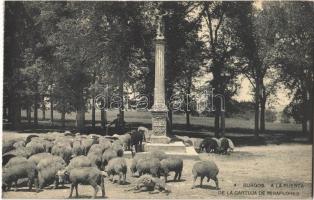 Burgos, A la Puerta de la Cartuja de Miraflores / Miraflores Charterhouse, a flock of sheep in front of the gate