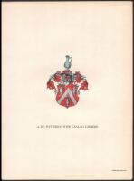 cca 1900 A De Pottere-Poitier család címere. Litográfia. 32x24 cm