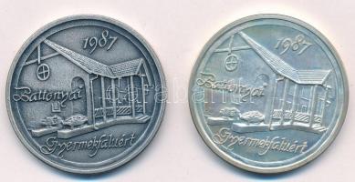 Bogár Lívia (1957-) 1987. "Keszthelyi Éremgyűjtő Csoport SOS / Battonyai Gyermekfaluért" e...