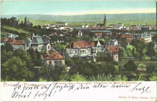 1905 Pozsony, Pressburg, Bratislava; Egy nyaraló telep a Kárpátokban / Villenviertel am Fasse der Karpathen / villa quarter in the Carpathians