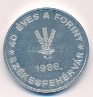 1986. "MÉE ALBA REGIA NUM. CSOP. / 40 éves a forint - Székesfehérvár" Al emlékérem (40mm) ...