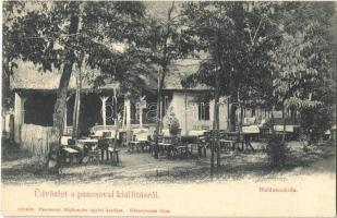 Pancsova, Pancevo; Halászcsárda. Pancsovai Népkonyha Egylet kiadása / restaurant garden