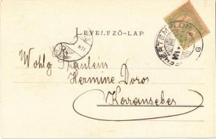 1904 Fehértemplom, Ung. Weisskirchen, Bela Crkva; Schiess-Stätte / Lövölde. Hepke kiadása / shooting...