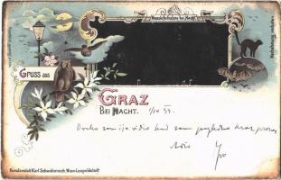 1898 Graz, bei Nacht. Neueste Aufnahme bei Nacht / at night, owls, bats, black cat, spiderweb. Kunstanstalt Karl Schwidernoch No. 400. Art Nouveau, floral, litho (EK)