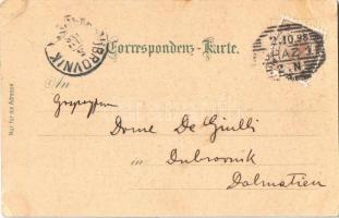 1898 Graz, bei Nacht. Neueste Aufnahme bei Nacht / at night, owls, bats, black cat, spiderweb. Kunst...