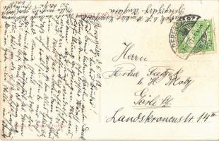 1913 Beregszász, Beregovo, Berehove; Auer Károly tórafüggői szőlője és borháza, szőlészet, szőlősker...