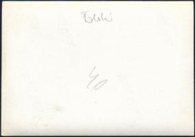 1938 A magyar Toldi (I.) könnyű harckocsi tereptesztelése, rajta a fejlesztő mérnökkel, fotó, 6×8,5 ...