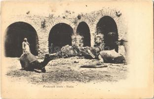 Tunis, Fondouck Arabe / caravanserai, merchant with camels, folklore
