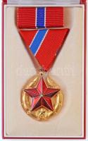 1951. Közbiztonsági Érem arany fokozata a karhatalom tagjai részére, aranyozott Br kitüntetés mellszalagon, szalagsávval, dísztokban T:1