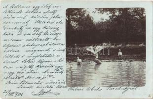1901 Paripás, Parabuty, Parabutsch, Parabuc, Ratkovo; Falusi libák / village geese. photo
