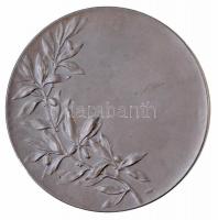 ~1910. "VII. Eduárd 1901-1910" ezüstözött Br emlékérem, "BRONZE" jelzéssel és &q...