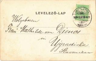 1909 Beodra, Novo Milosevo; Karátsonyi Andor kastélya / castle (EK)