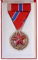 1951. Közbiztonsági Érem bronz fokozata a karhatalom tagjai részére, patinázott Br kitüntetés mellszalagon, szalagsávval, dísztokban T:2  NMK.: 554.