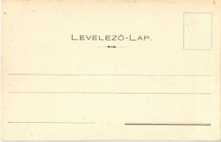 Törökkanizsa, Nova Kanjiza, Novi Knezevac; Schulpe kastély. Szegyákov kiadása / castle